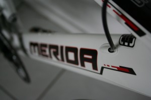 IMG_5706 IMG_5706